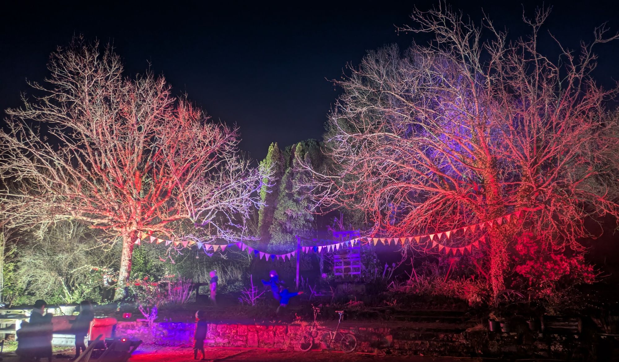 Arbres illuminés et décorations festives de La Pepiterre.